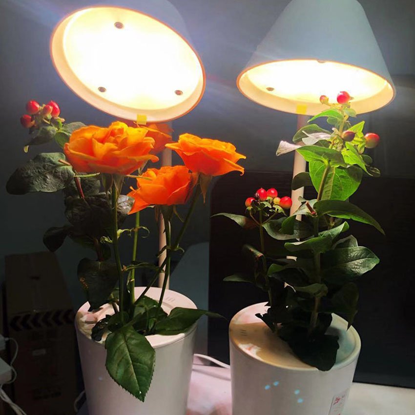 Soilless cultivation plant growth machine