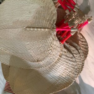 Palm leaf and palm leaf fan