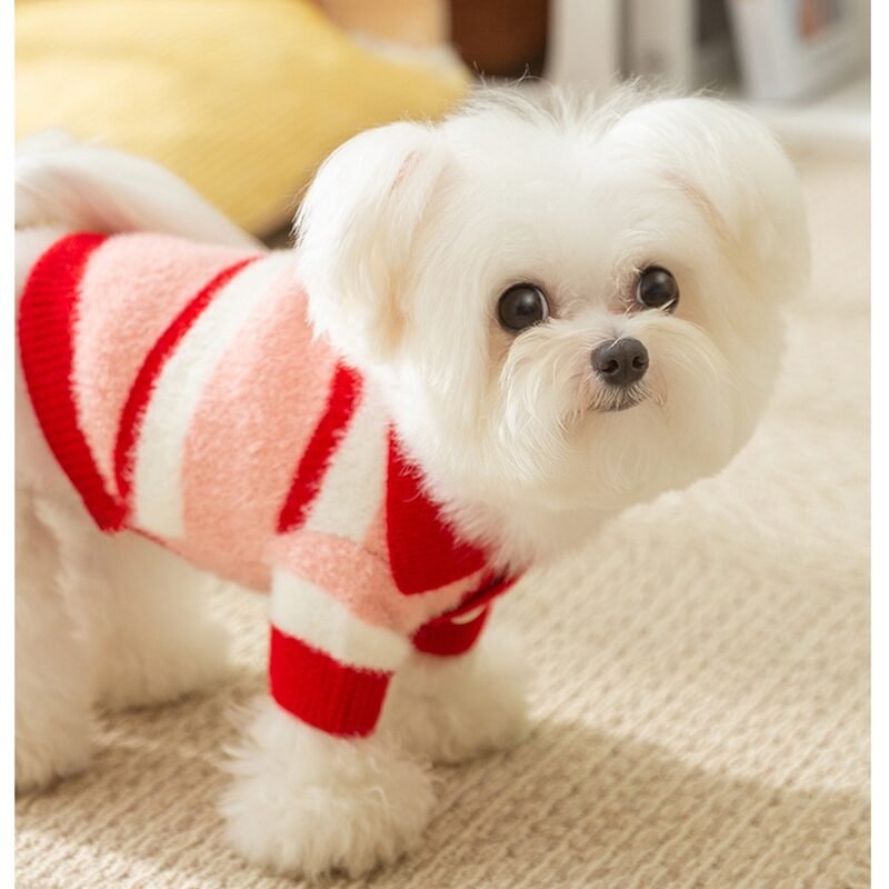 Little Dog Clothes For Autumn And Winter, Small Dog For Winter Warmth, Teddy Bichon Frise POLO Collar Pet Winter Two-legged Sweater - Image 7