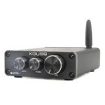 Bluetooth 5.0 HIFI Fever 50W*2 Digital Power Amplifier