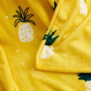 Colorful pineapple velvet blanket