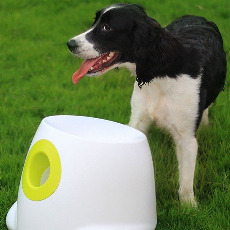 Dog Toy Tennis Ball Pet Ball-Throwing Automatic Launcher - Image 4