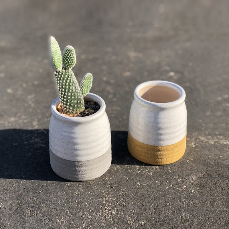 Cactus succulent creative flower pot - Image 2
