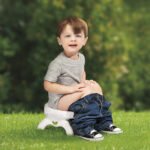 2 in 1 children's portable toilet seat