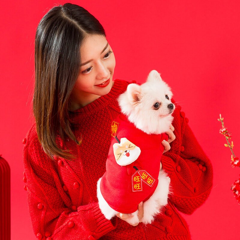 Kitty Clothes Thin Velvet Beckoning Cat Two-legged Sweater - Image 5