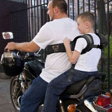 Electric car safety harness