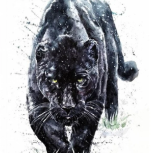 5D Diamond Painting - Watercolor Black Panther