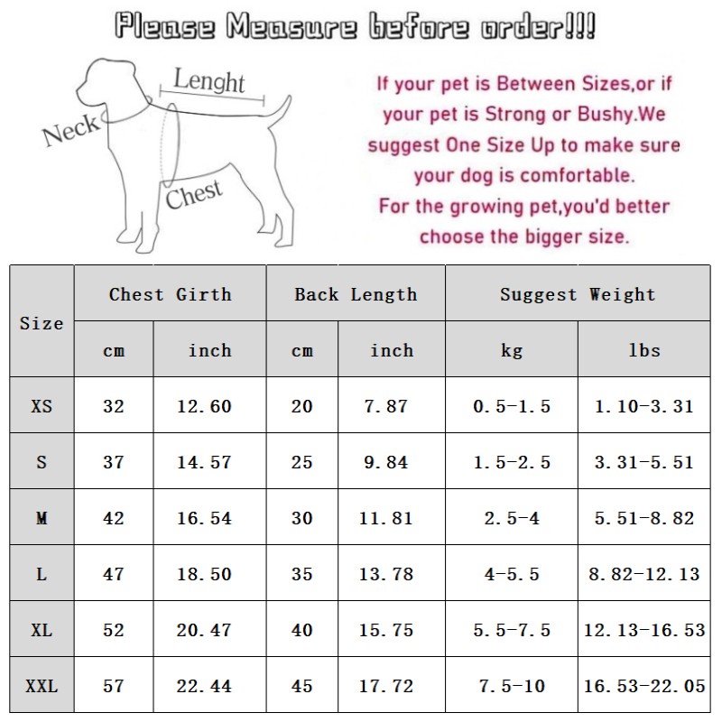 Little Dog Clothes For Autumn And Winter, Small Dog For Winter Warmth, Teddy Bichon Frise POLO Collar Pet Winter Two-legged Sweater - Image 2