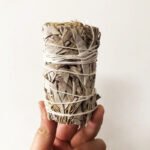 White Salvia Officinalis Peru Holy Wood Indoor Air Purification