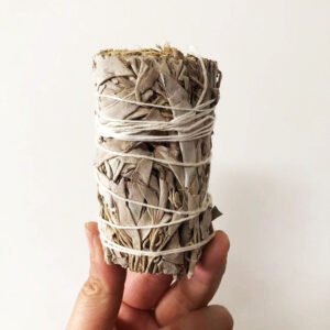 White Salvia Officinalis Peru Holy Wood Indoor Air Purification