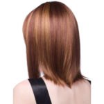 Women's Fashion Long Hair