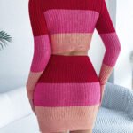 Women Color Block Long Sleeve Cropped Top & Bodycon Skirt Knit Set