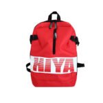 Double computer bag