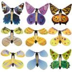 Magic Butterfly