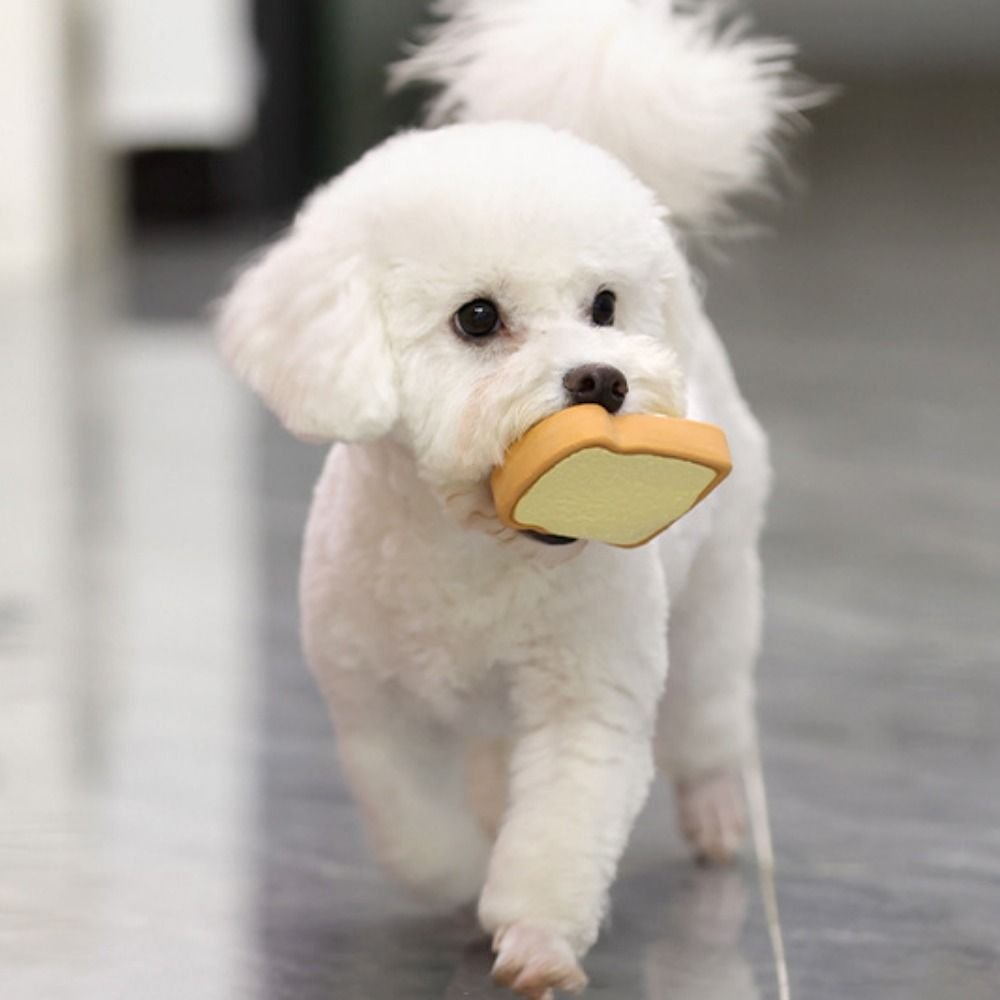 Cute Cartoon Pattern Latex Toy Egg Bread Shape Anti Squeeze Puppy Chew Toys Bite Resistant Dog Squeaky Toy For Training - Image 4
