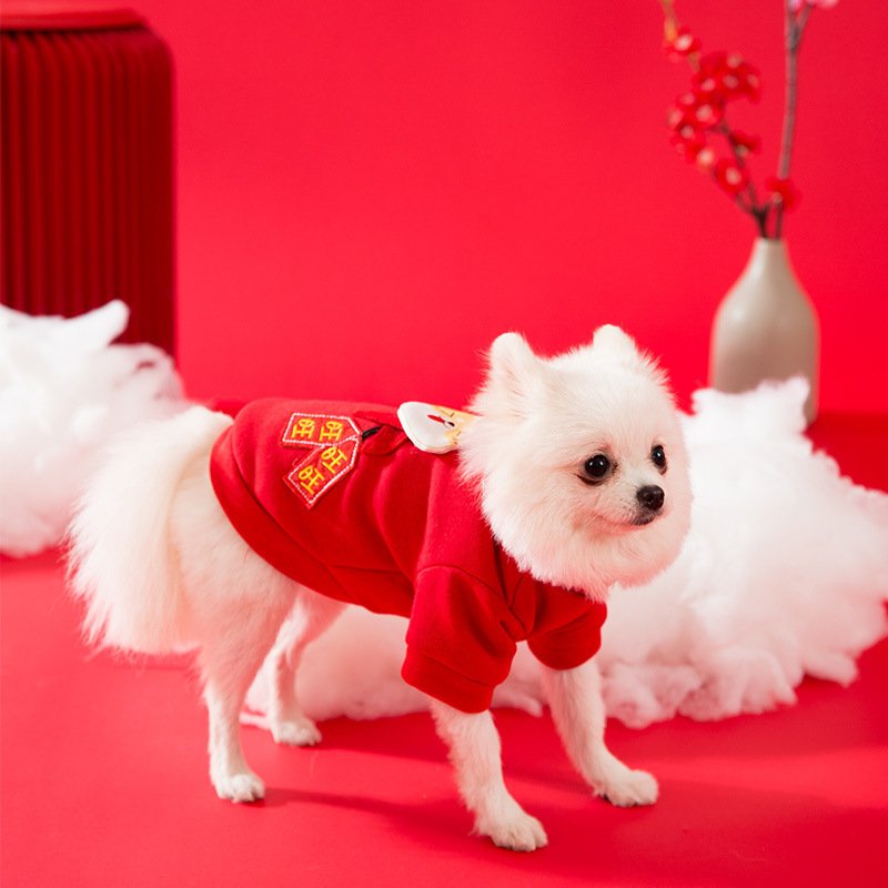 Kitty Clothes Thin Velvet Beckoning Cat Two-legged Sweater - Image 4